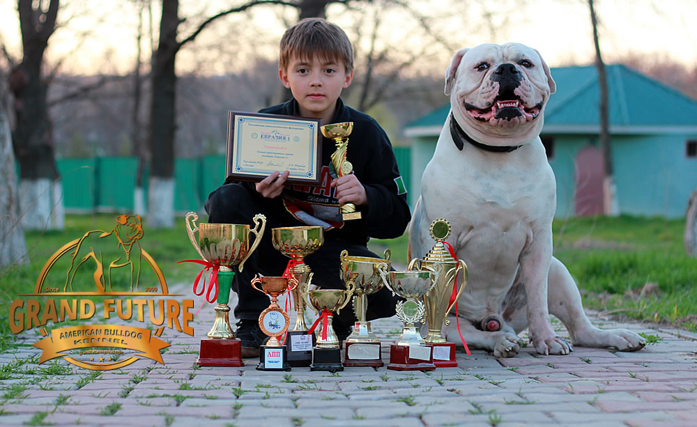 American Bulldog - Grand Future Pharaoh