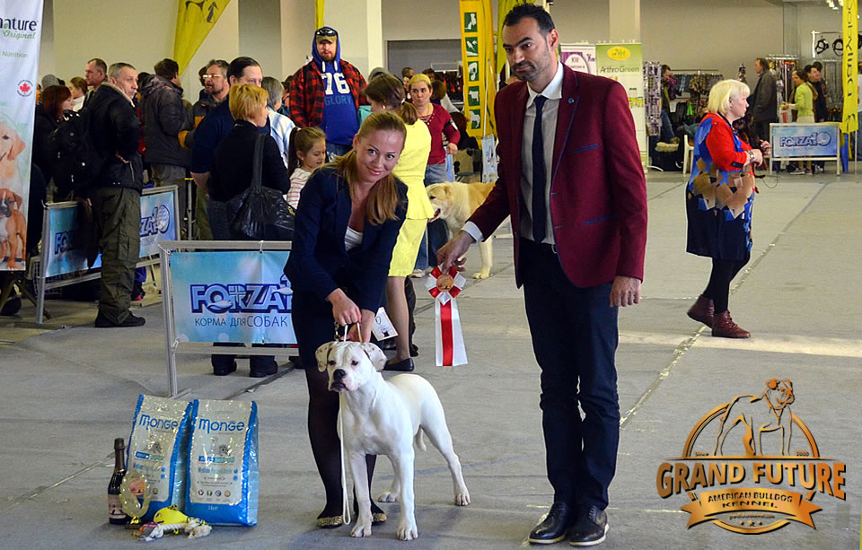 American Bulldog - Grand Future Shooting Star